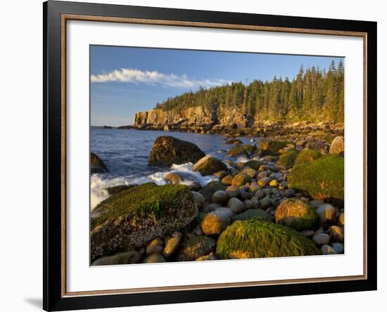 Polished Rocks at Otter Cliffs, Acadia National Park, Maine, USA-Chuck Haney-Framed Photographic Print