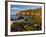 Polished Rocks at Otter Cliffs, Acadia National Park, Maine, USA-Chuck Haney-Framed Photographic Print