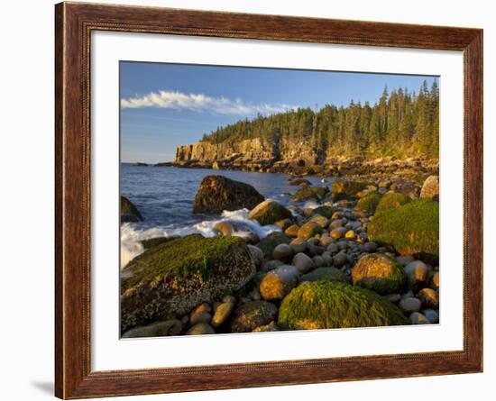 Polished Rocks at Otter Cliffs, Acadia National Park, Maine, USA-Chuck Haney-Framed Photographic Print