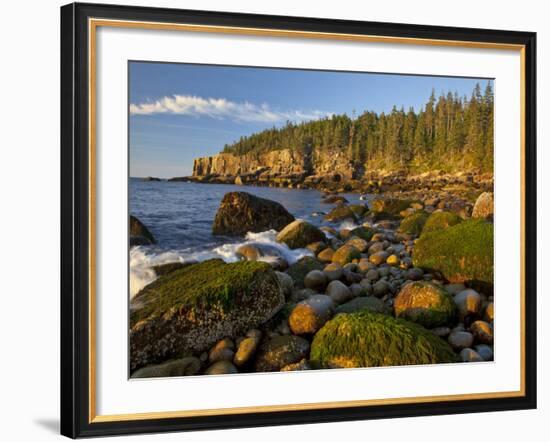 Polished Rocks at Otter Cliffs, Acadia National Park, Maine, USA-Chuck Haney-Framed Photographic Print