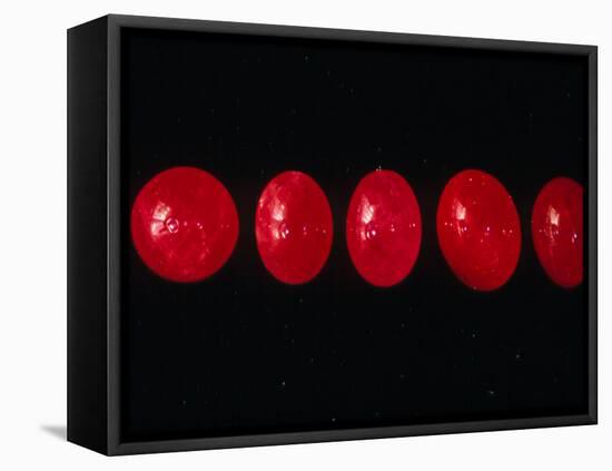 Polished Rubies-Vaughan Fleming-Framed Premier Image Canvas