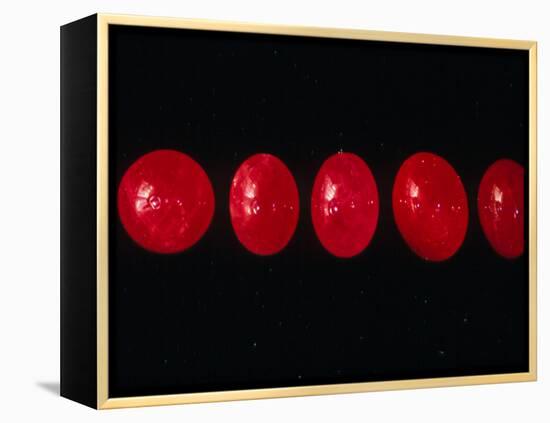 Polished Rubies-Vaughan Fleming-Framed Premier Image Canvas