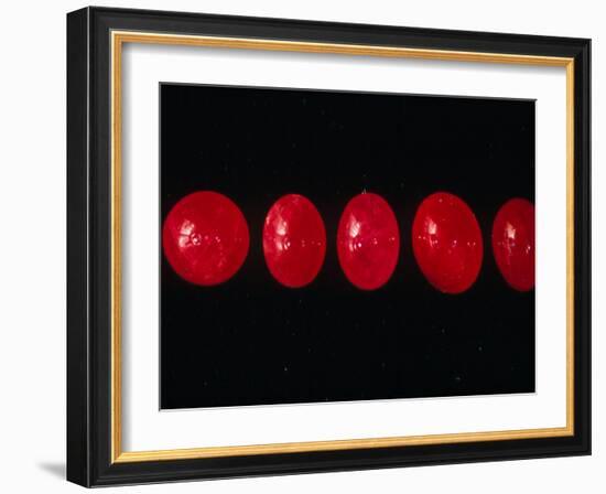 Polished Rubies-Vaughan Fleming-Framed Photographic Print