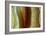 Polished Slice of Agate-Vaughan Fleming-Framed Photographic Print