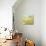 Polka Dot Delight-House-Robbin Rawlings-Premium Giclee Print displayed on a wall