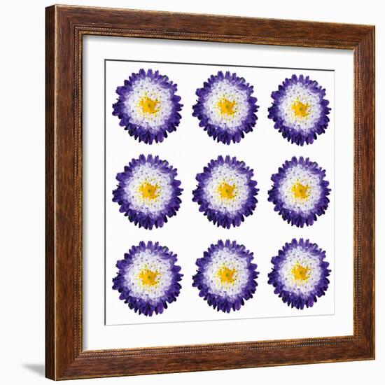 Polka Flowers I-James Guilliam-Framed Giclee Print