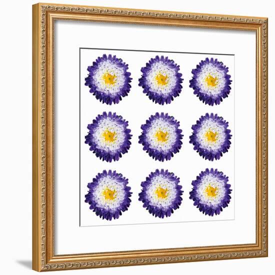 Polka Flowers I-James Guilliam-Framed Giclee Print