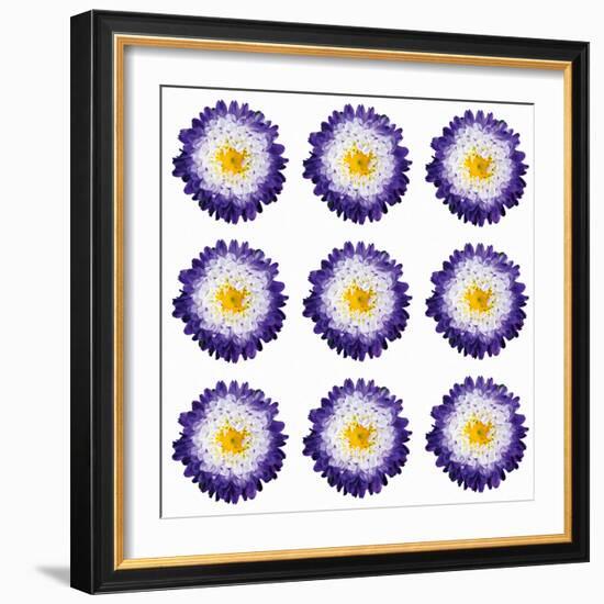 Polka Flowers I-James Guilliam-Framed Giclee Print