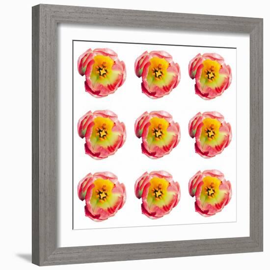 Polka Flowers II-James Guilliam-Framed Giclee Print