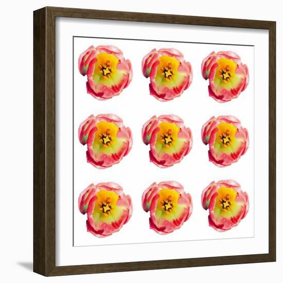 Polka Flowers II-James Guilliam-Framed Giclee Print