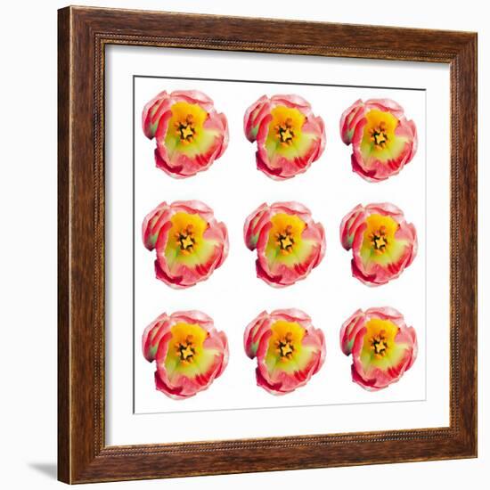 Polka Flowers II-James Guilliam-Framed Giclee Print