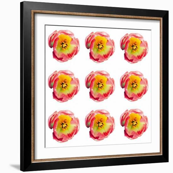 Polka Flowers II-James Guilliam-Framed Giclee Print