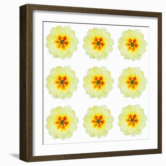 Polka Flowers III-James Guilliam-Framed Giclee Print