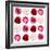 Polka Flowers IV-James Guilliam-Framed Giclee Print