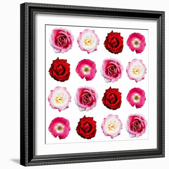 Polka Flowers IV-James Guilliam-Framed Giclee Print