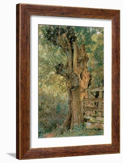 Pollard Elm on the Edge of the Village Pound-William Henry Hunt-Framed Giclee Print