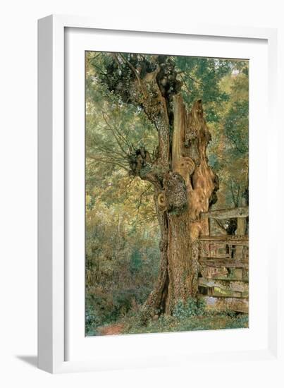 Pollard Elm on the Edge of the Village Pound-William Henry Hunt-Framed Giclee Print