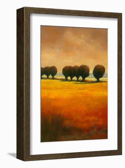 Pollard Willow II-Graham Reynolds-Framed Art Print