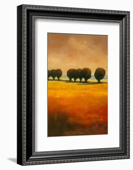 Pollard Willow II-Graham Reynolds-Framed Art Print