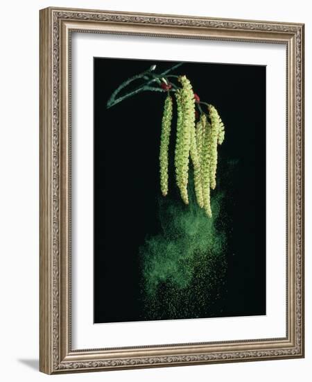 Pollen Dispersed by Wind-Dr^ Jeremy-Framed Photographic Print