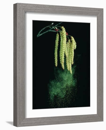 Pollen Dispersed by Wind-Dr^ Jeremy-Framed Photographic Print