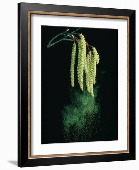 Pollen Dispersed by Wind-Dr^ Jeremy-Framed Photographic Print