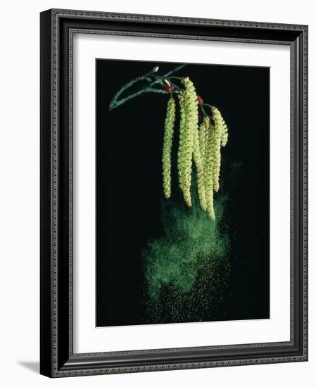 Pollen Dispersed by Wind-Dr^ Jeremy-Framed Photographic Print