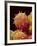 Pollen of Mallow-Micro Discovery-Framed Photographic Print