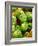 Pollen of Melon-Micro Discovery-Framed Photographic Print