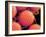 Pollen on Pistil of Mallow-Micro Discovery-Framed Photographic Print