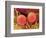 Pollen on Pistil of Mallow-Micro Discovery-Framed Photographic Print