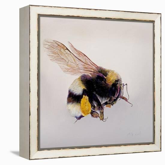 Pollen sac 1, 2011-Odile Kidd-Framed Premier Image Canvas