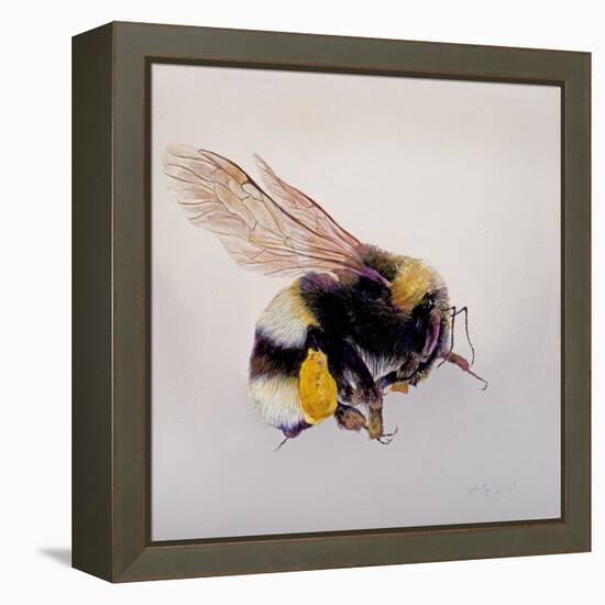 Pollen sac 1, 2011-Odile Kidd-Framed Premier Image Canvas