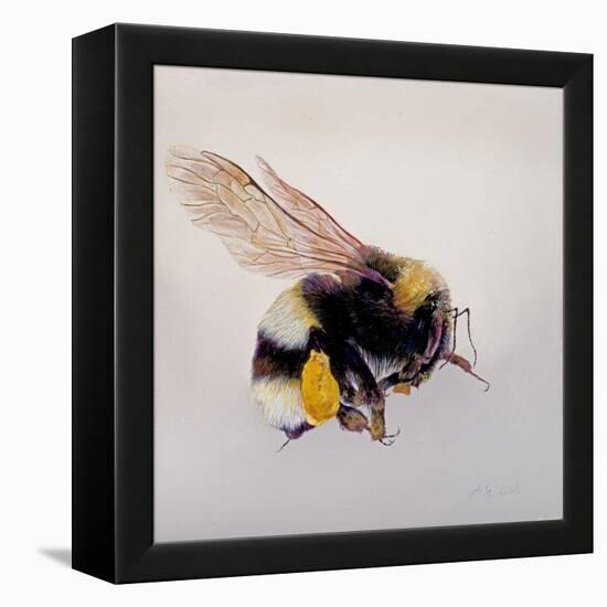 Pollen sac 1, 2011-Odile Kidd-Framed Premier Image Canvas