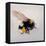 Pollen sac 1, 2011-Odile Kidd-Framed Premier Image Canvas