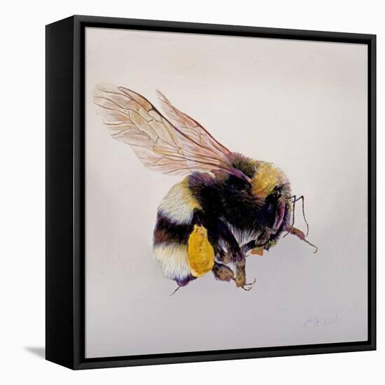 Pollen sac 1, 2011-Odile Kidd-Framed Premier Image Canvas