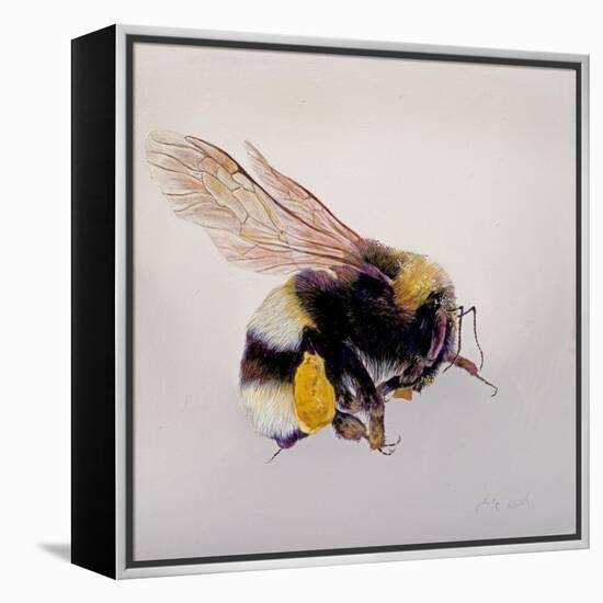 Pollen sac 1, 2011-Odile Kidd-Framed Premier Image Canvas