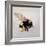 Pollen sac 1, 2011-Odile Kidd-Framed Giclee Print