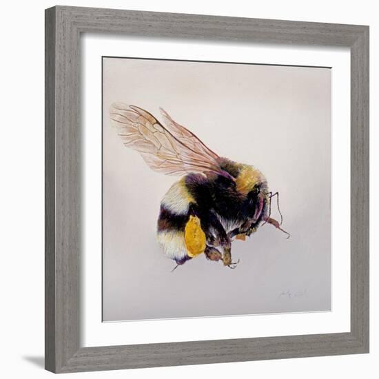 Pollen sac 1, 2011-Odile Kidd-Framed Giclee Print