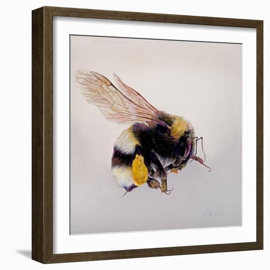 Pollen sac 1, 2011-Odile Kidd-Framed Giclee Print