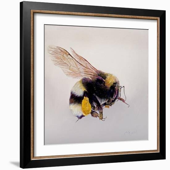 Pollen sac 1, 2011-Odile Kidd-Framed Giclee Print