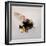 Pollen sac 1, 2011-Odile Kidd-Framed Giclee Print