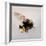 Pollen sac 1, 2011-Odile Kidd-Framed Giclee Print