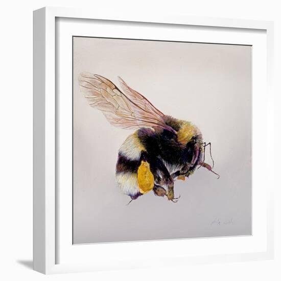 Pollen sac 1, 2011-Odile Kidd-Framed Giclee Print