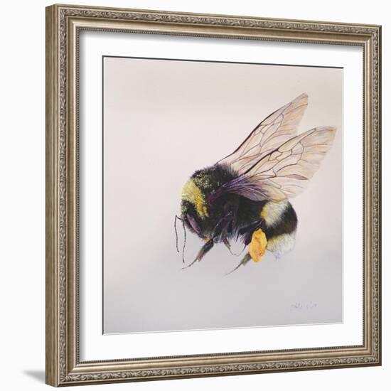 Pollen sac 2, 2011-Odile Kidd-Framed Giclee Print