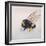 Pollen sac 2, 2011-Odile Kidd-Framed Giclee Print