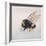 Pollen sac 2, 2011-Odile Kidd-Framed Giclee Print