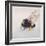 Pollen sac 2, 2011-Odile Kidd-Framed Giclee Print