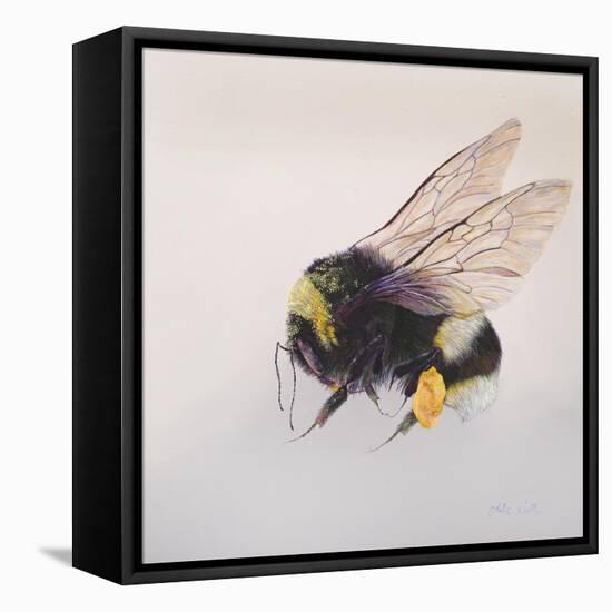 Pollen sac 2, 2011-Odile Kidd-Framed Premier Image Canvas
