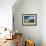 Pollock House, Glasgow, Scotland, United Kingdom-Adam Woolfitt-Framed Photographic Print displayed on a wall